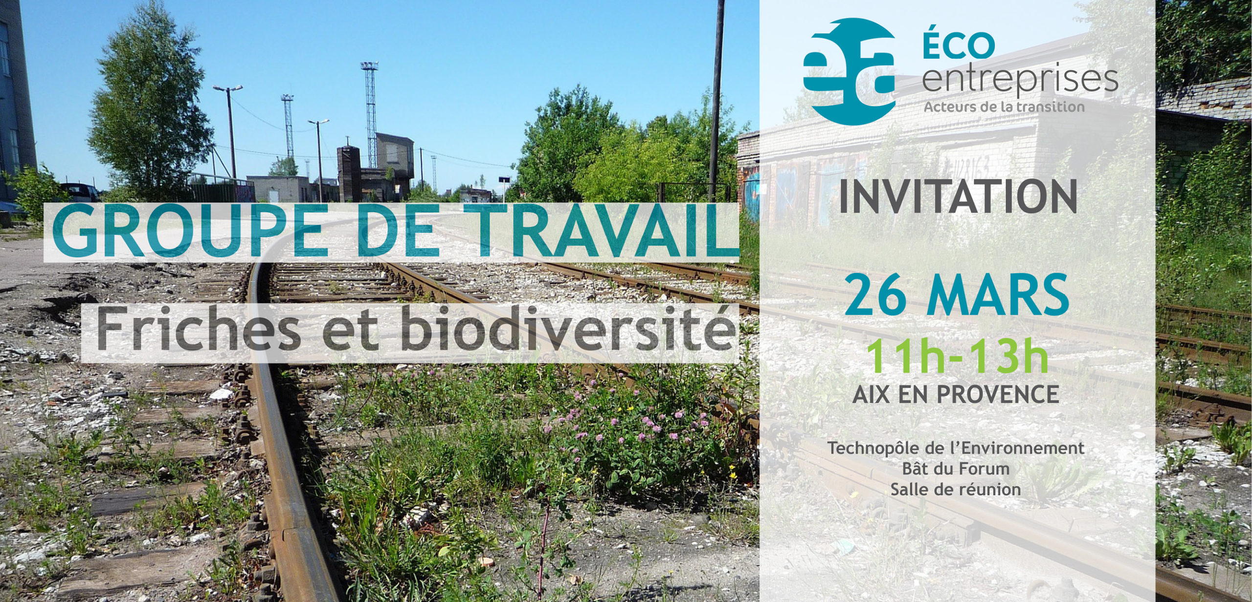 GT Friches & Biodiversité