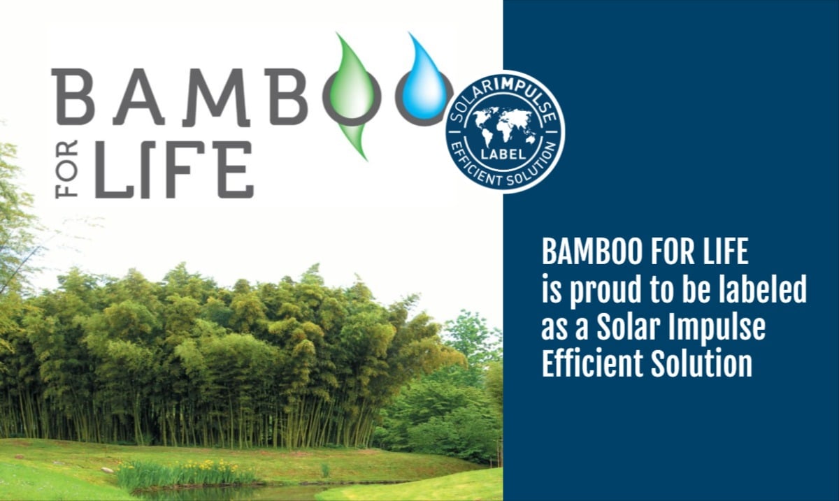 Bamboo For Life valorise les eaux usées Éa écoentreprises Éa éco