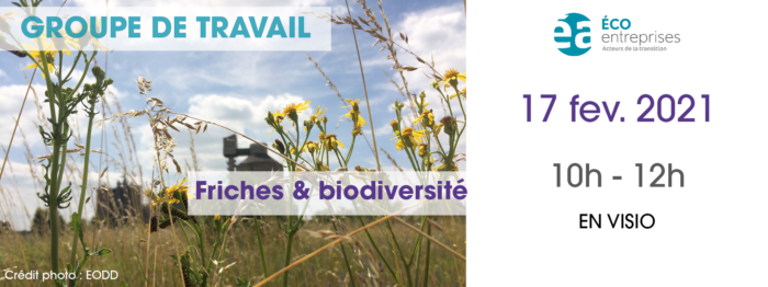 [SAVE THE DATE] Groupe de travail : Friches & Biodiversité