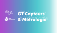 GT Capteurs & Métrologie