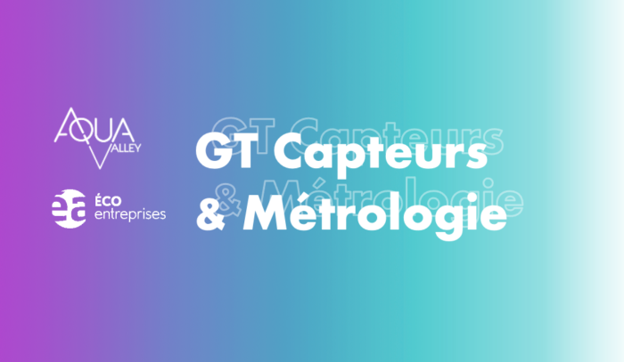 GT Capteurs & Métrologie