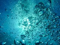 Groupe de travail : IA et données multi capteurs appliquées au cycle de l’eau