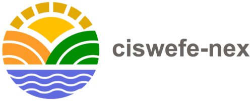 CisWEFE-Nex 